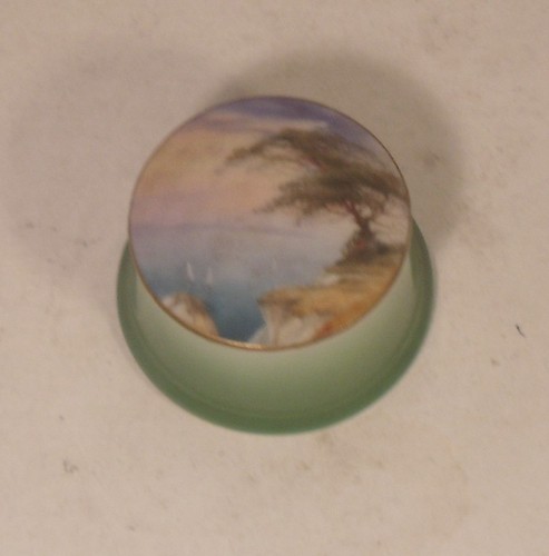 Royal worcester hand painted - royal,