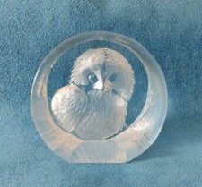 Little Owl By Mats Jonasson