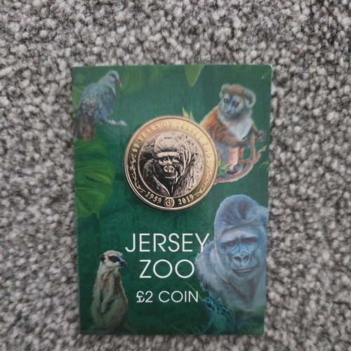 Jersey zoo gorilla 2019 - jersey,