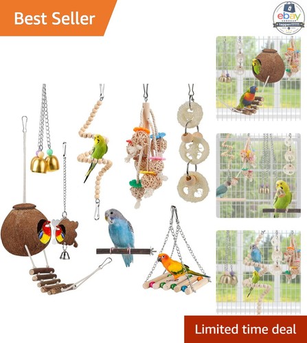 Bird cage hammock with - bird,