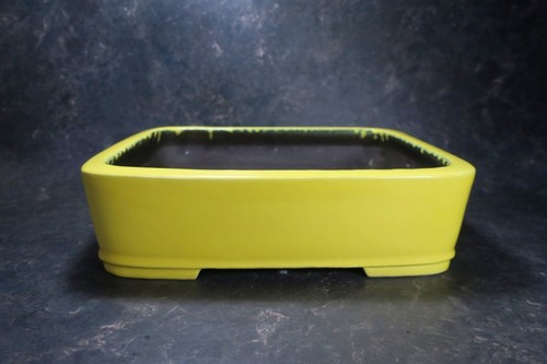 Genuine japanese bonsai pot - genuine,