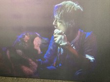 Peter Doherty Portrait Canvas By Cristina Massei