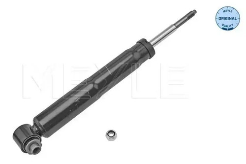 Shock absorber rear axle - absorber,