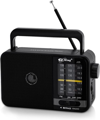 Portable radio mains - fm,