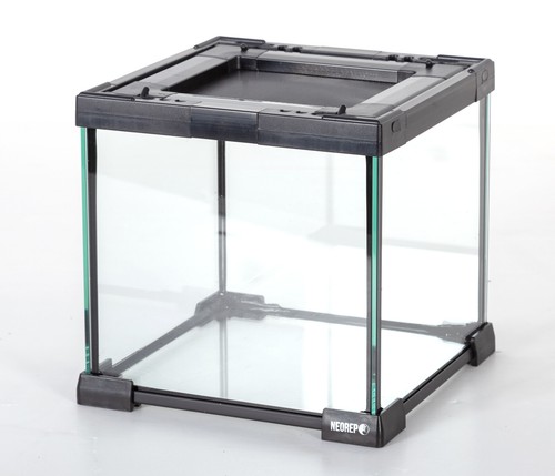 Neorep glass nano habitat - neorep,