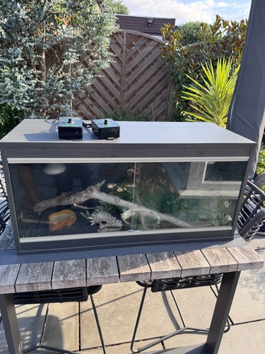 3ft grey vivarium with - grey, full