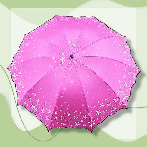 Folding umbrella fashion - folding,