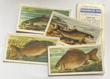 Brooke Bond Freshwater Fish - Pick what you need to complete your set.