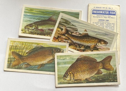 Brooke bond freshwater fish - brooke,