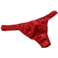 Mens 100% Silk Briefs Bikinis