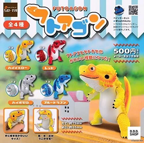 Bearded dragon complete set - complete,