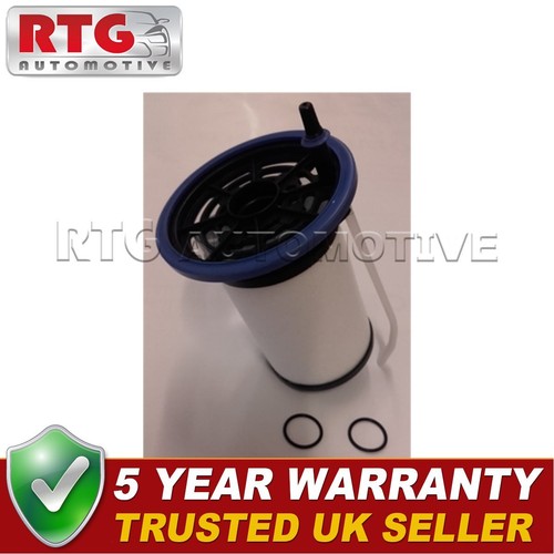 Rtg fuel filter - rtg,