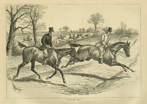 Fox hunting horses riders - horses,
