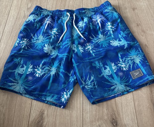 Men speedo swim shorts - swim,