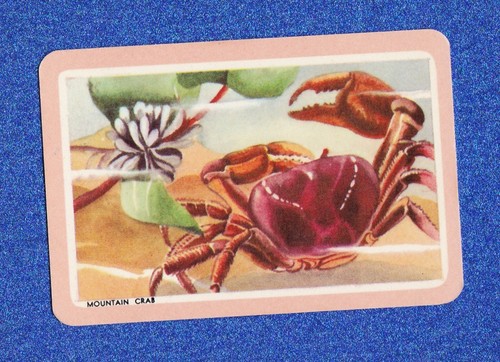Vintage woolworths fish swap - vintage,