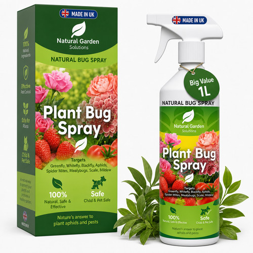 Organic plant bug spray - plant,