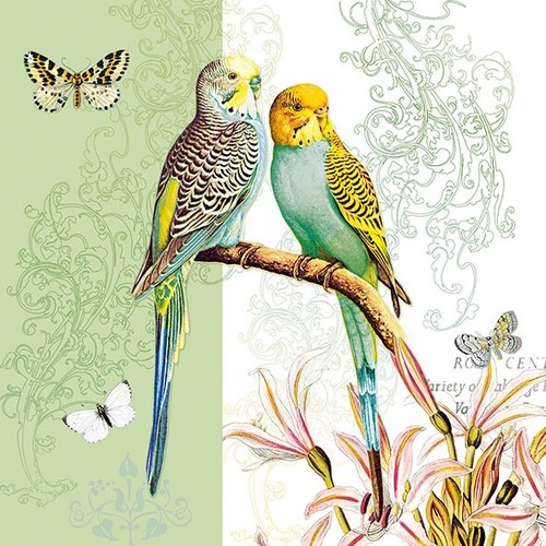 Single paper napkins 3 - 4, napkins/3