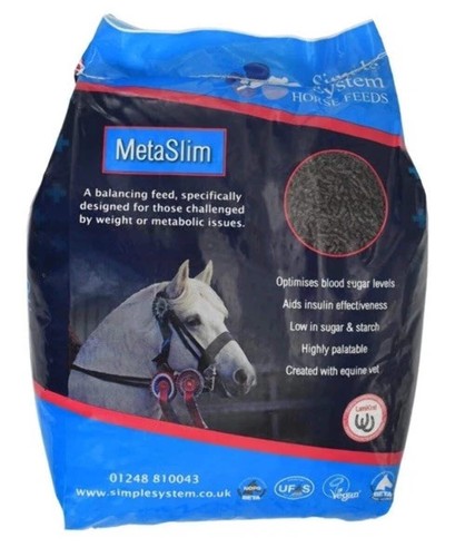Simple system metaslim horse - system,
