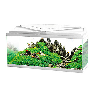 Ciano aquarium led white - aquarium,