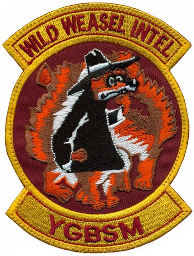Usaf wild weasel intelligence - usaf,