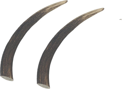 Deer antlers for dogs 2 - for,