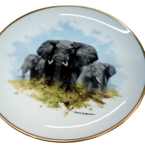 David shepherd elephant - david,