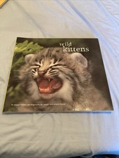 Wild Kittens