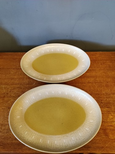 Denby ode oval steak - 2,