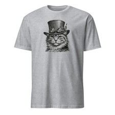 Steampunk maine coon - coon, cat