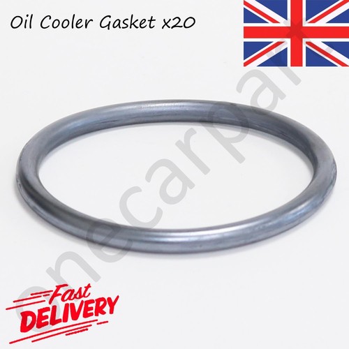Oil cooler gasket - cooler,