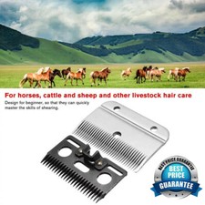 Heavy-Duty Medium Horse