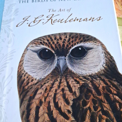 Paintings the birds new - paintings, of