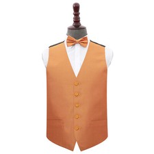 Mens Waistcoat & Bow Tie Set