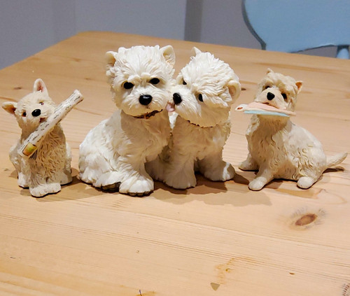 West highland terrier - west,