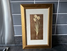 Gloria Eriksen,vintage