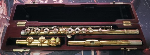 Haynes flute - haynes, wm.s.haynes