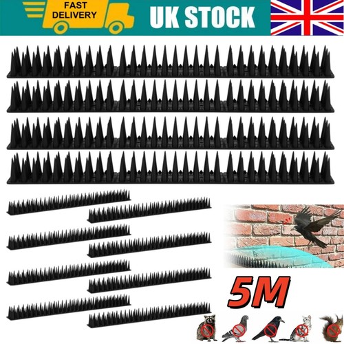 Bird spikes for pigeon - bird,