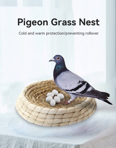 Pack pigeon nest bowl - 6,
