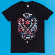 Official WWE CM Punk Best In