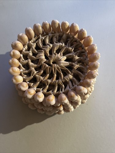 Rattan shell coasters - shell,