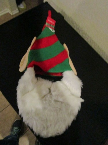 Elf face hat - hat, beard