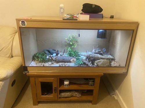 Brand new 4ft - new, vivarium