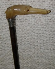 Edwardian Petite Walking Stick Cane Greyhound Dog Silver Collar Hallmarked 1906