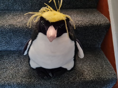 Rockhopper penguin the - rockhopper,