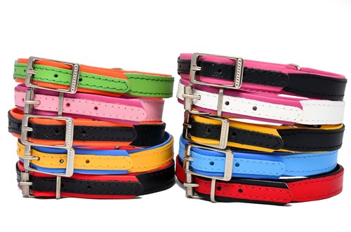Real soft leather dog puppy - dog,