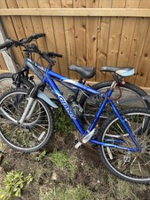 Apollo Jewel Women's Mountain