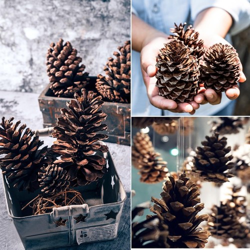 Natural pine cones approx - natural,