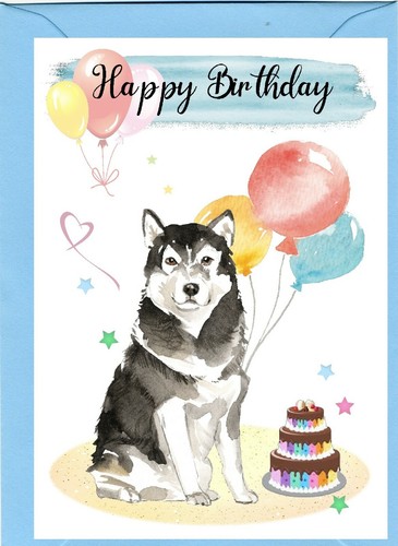 Alaskan malamute dog - alaskan,