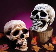 7" Halloween Skull