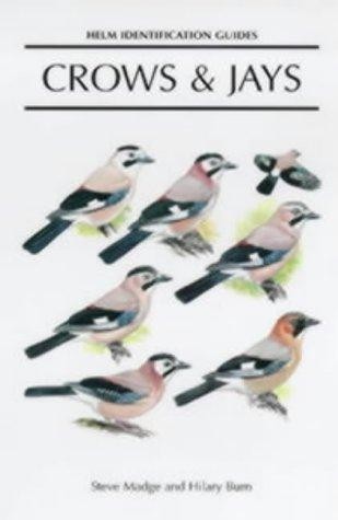 Crows and jays guide - and, the